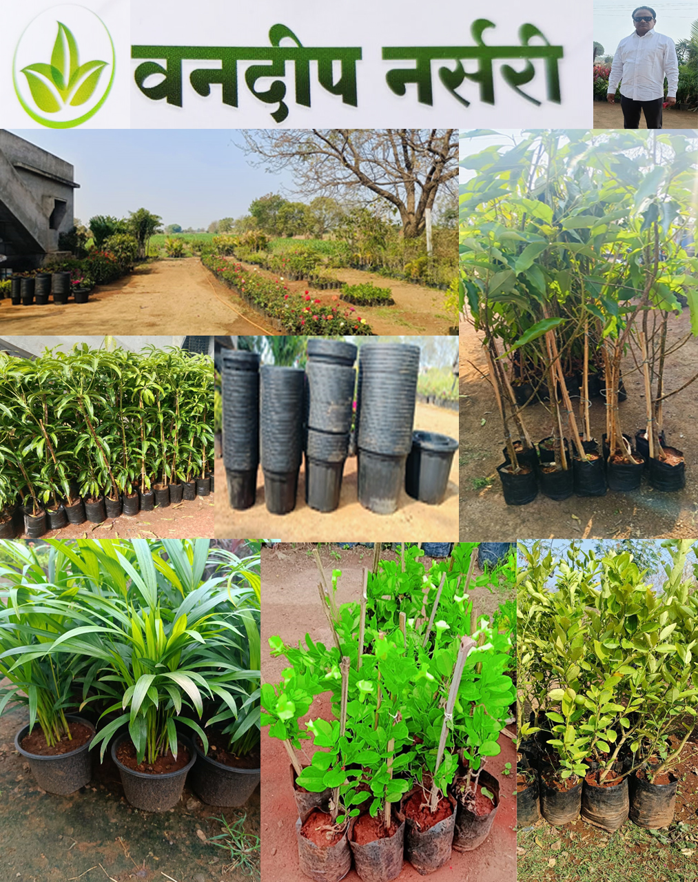वनदीप नर्सरी | SolapurMall.com