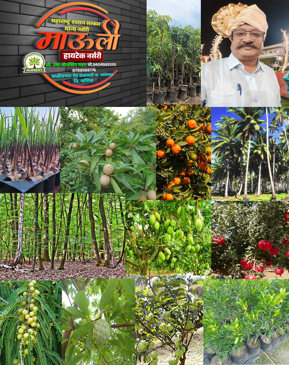माऊली हायटेक नर्सरी | SolapurMall.com