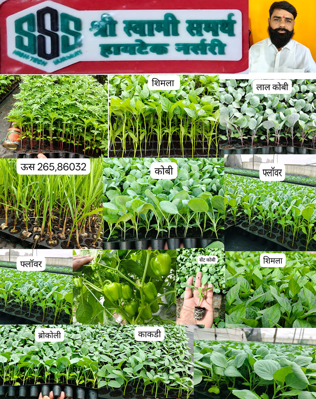 श्री स्वामी समर्थ हायटेक नर्सरी | SolapurMall.com
